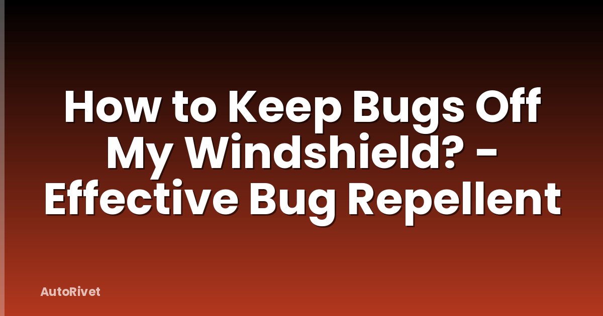 How to Keep Bugs Off My Windshield? - Effective Bug Repellent