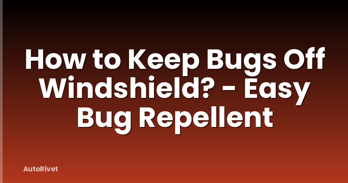 How to Keep Bugs Off Windshield? - Easy Bug Repellent