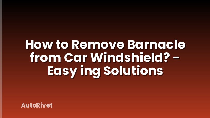 How to Remove Barnacle from Car Windshield? - Easy ing Solutions
