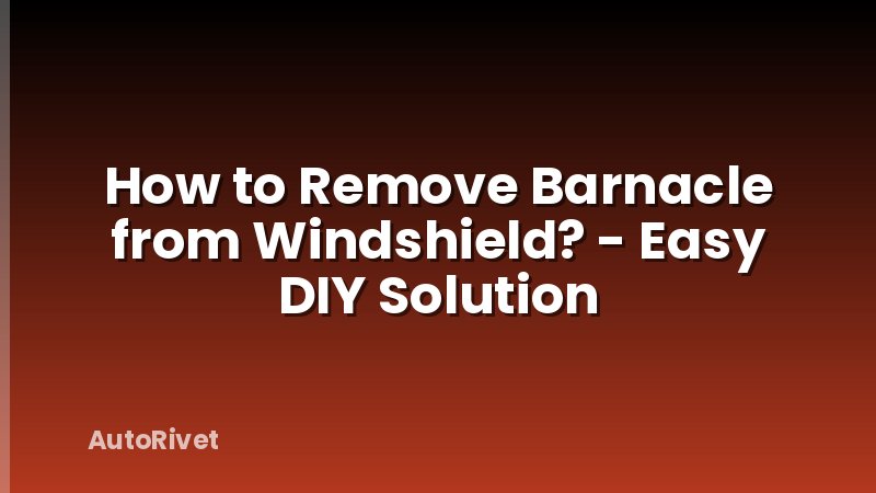 How to Remove Barnacle from Windshield? - Easy DIY Solution