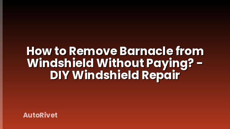 How to Remove Barnacle from Windshield Without Paying? - DIY Windshield Repair
