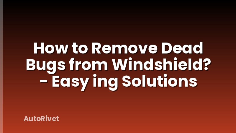 How to Remove Dead Bugs from Windshield? - Easy ing Solutions