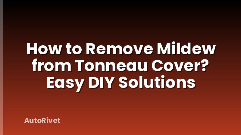How to Remove Mildew from Tonneau Cover? Easy DIY Solutions