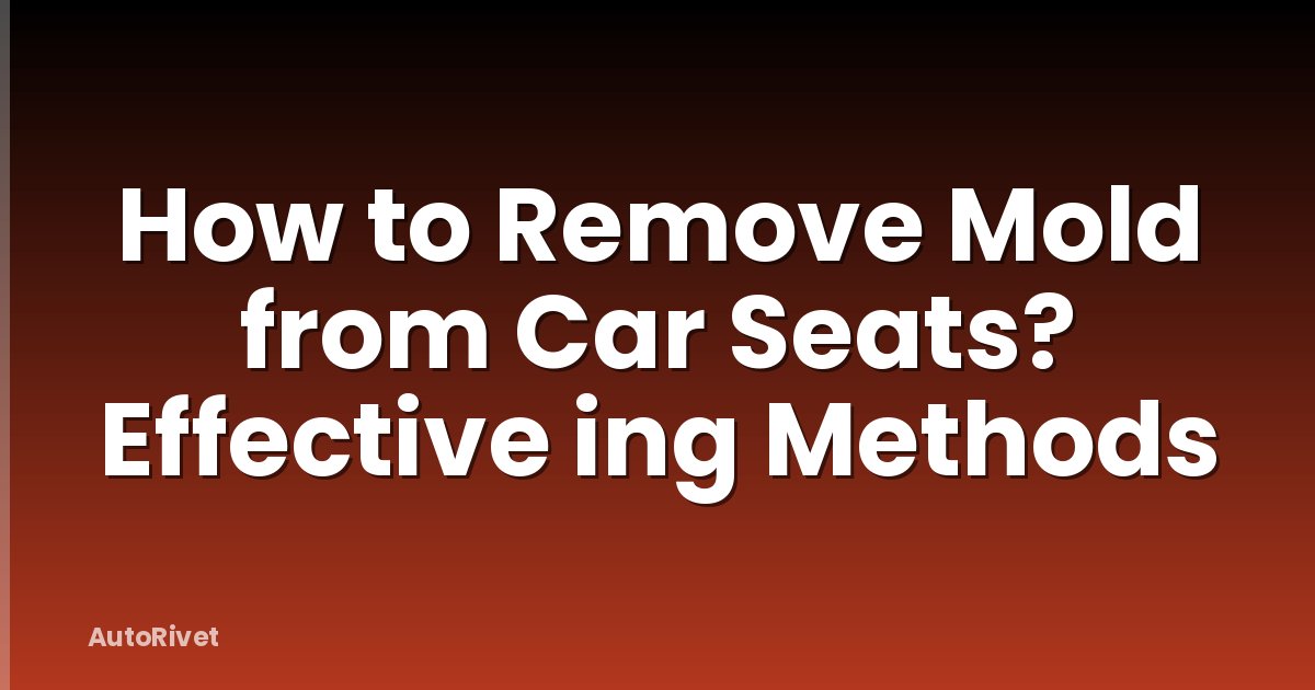 How to Remove Mold from Car Seats? Effective ing Methods