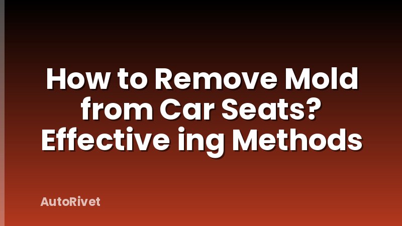 How to Remove Mold from Car Seats? Effective ing Methods