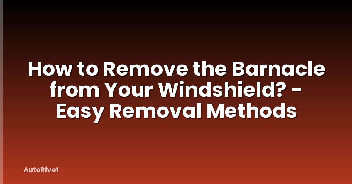 How to Remove the Barnacle from Your Windshield? - Easy Removal Methods