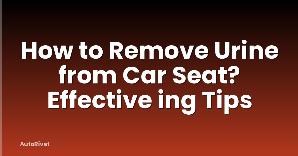 How to Remove Urine from Car Seat? Effective ing Tips