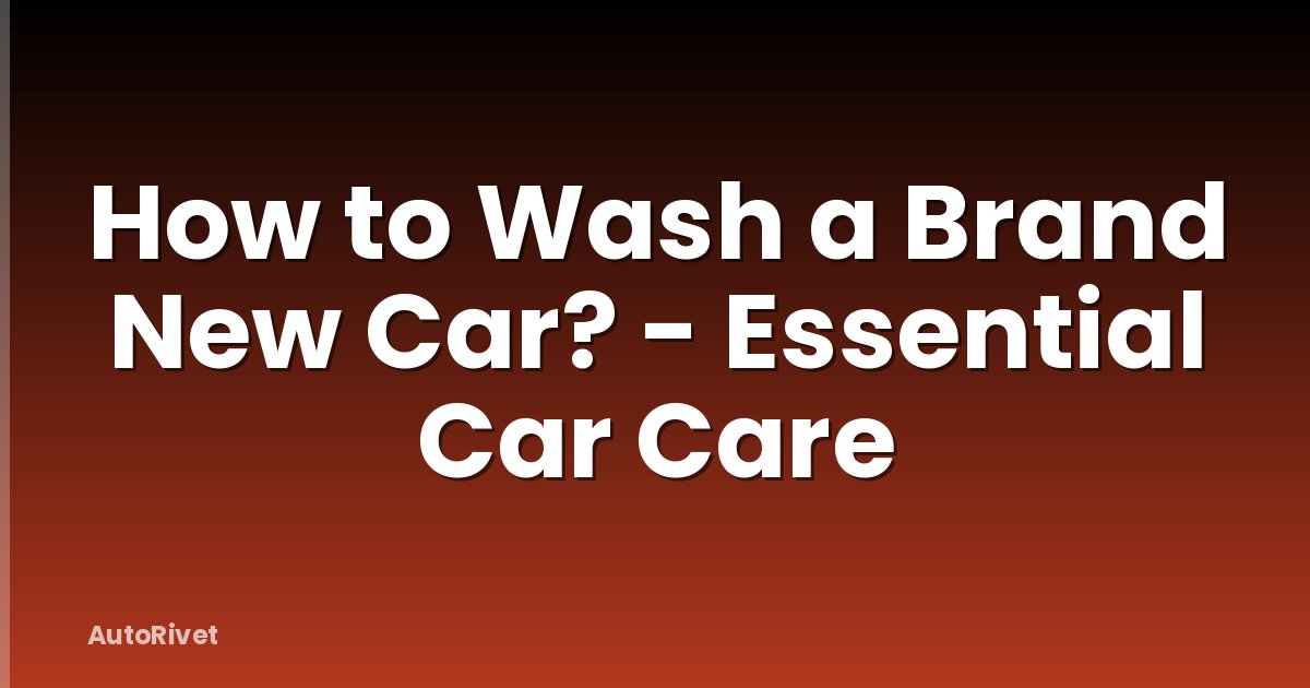 How to Wash a Brand New Car? - Essential Car Care