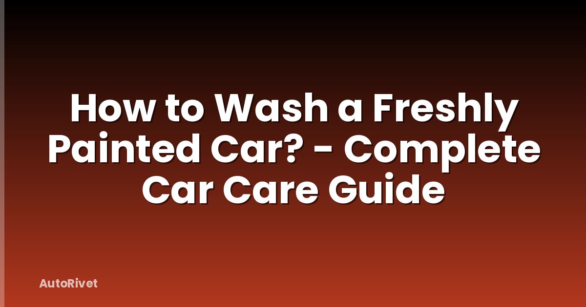 How to Wash a Freshly Painted Car? - Complete Car Care Guide