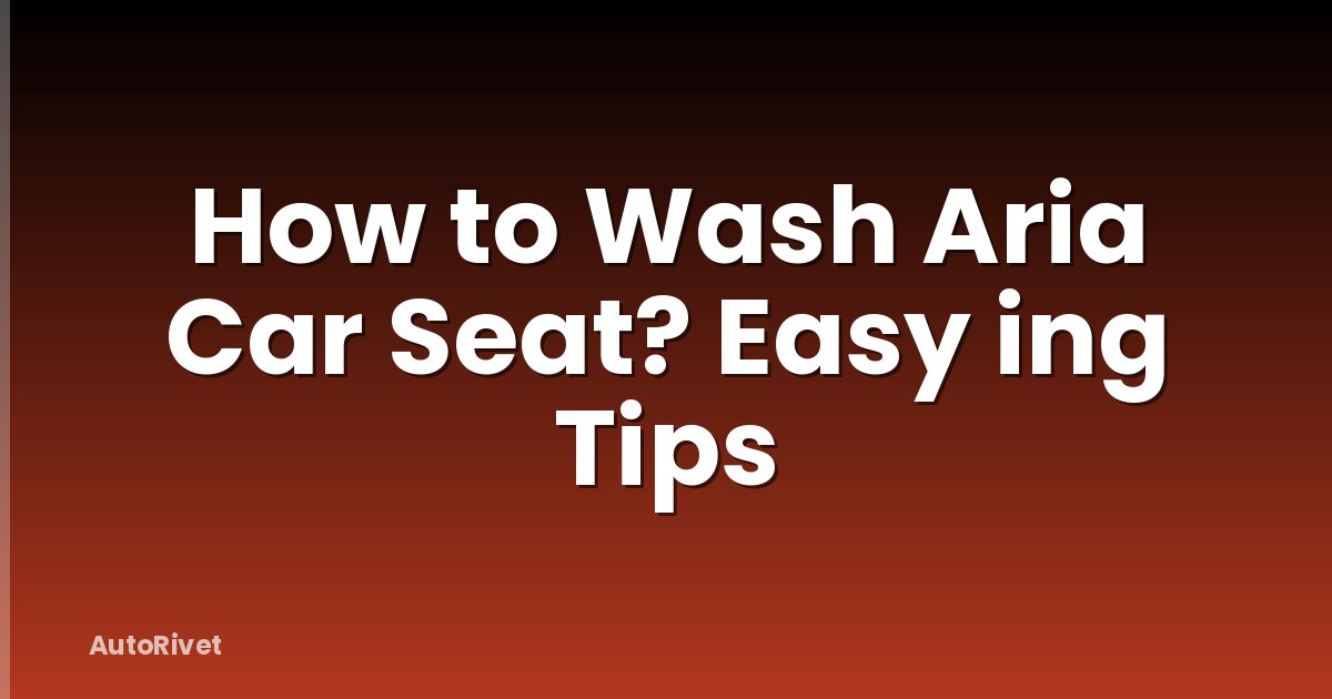 How to Wash Aria Car Seat? Easy ing Tips
