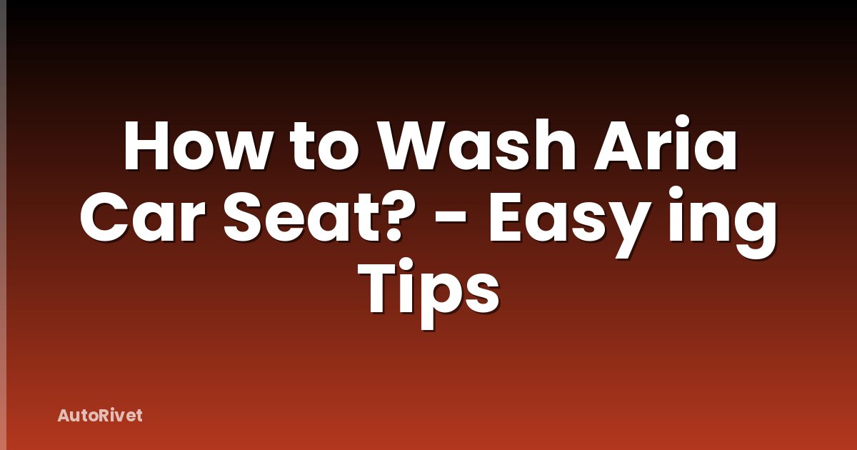 How to Wash Aria Car Seat? - Easy ing Tips