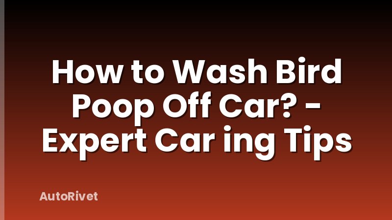 How to Wash Bird Poop Off Car? - Expert Car ing Tips