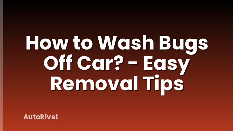 How to Wash Bugs Off Car? - Easy Removal Tips