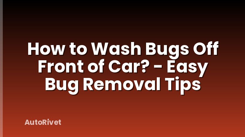 How to Wash Bugs Off Front of Car? - Easy Bug Removal Tips