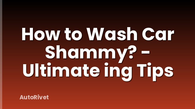How to Wash Car Shammy? - Ultimate ing Tips