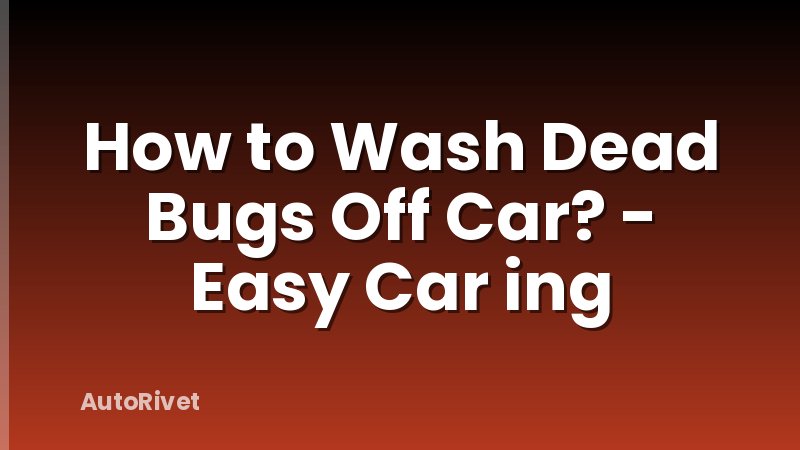 How to Wash Dead Bugs Off Car? - Easy Car ing