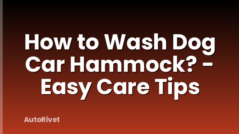 How to Wash Dog Car Hammock? - Easy Care Tips