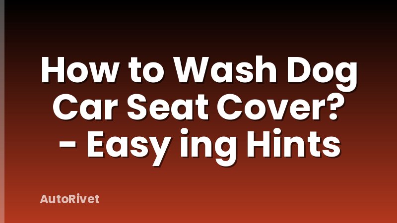How to Wash Dog Car Seat Cover? - Easy ing Hints