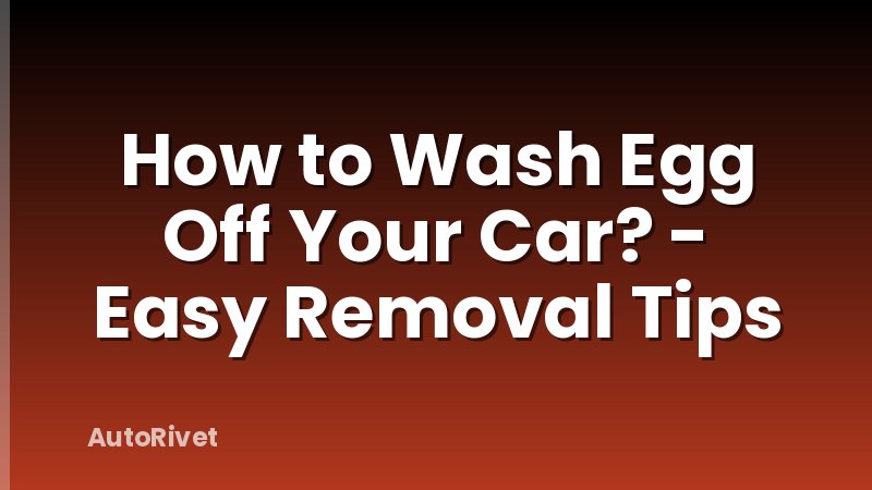 How to Wash Egg Off Your Car? - Easy Removal Tips