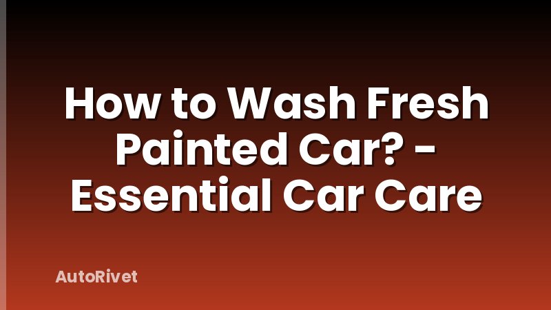 How to Wash Fresh Painted Car? - Essential Car Care