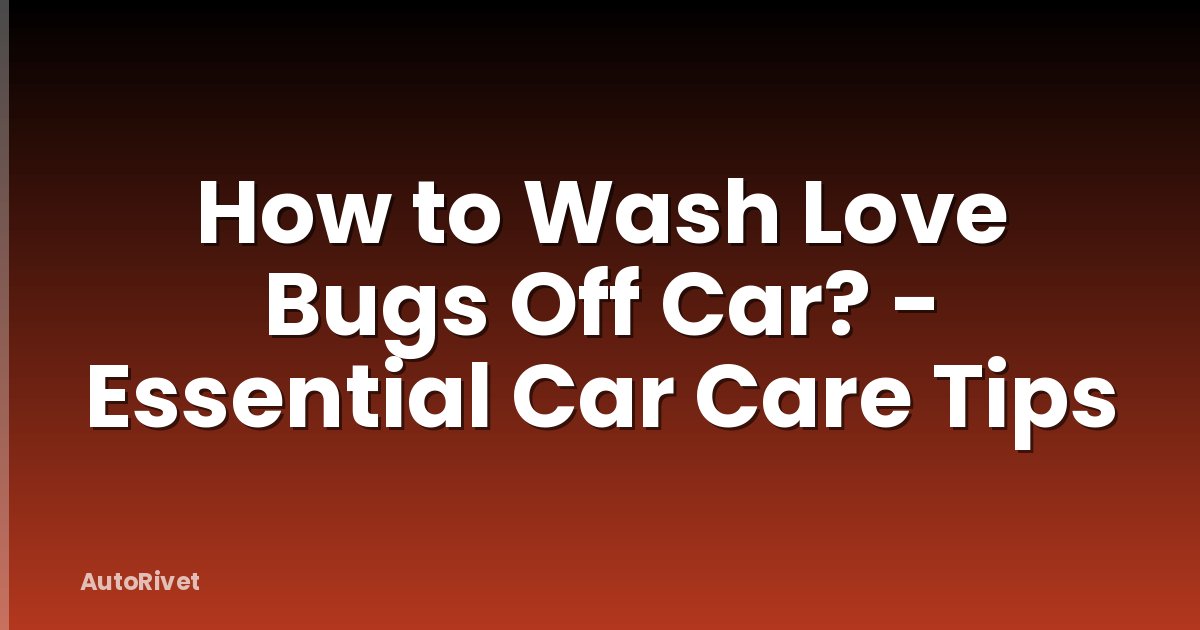 How to Wash Love Bugs Off Car? - Essential Car Care Tips