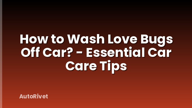 How to Wash Love Bugs Off Car? - Essential Car Care Tips