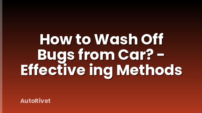 How to Wash Off Bugs from Car? - Effective ing Methods