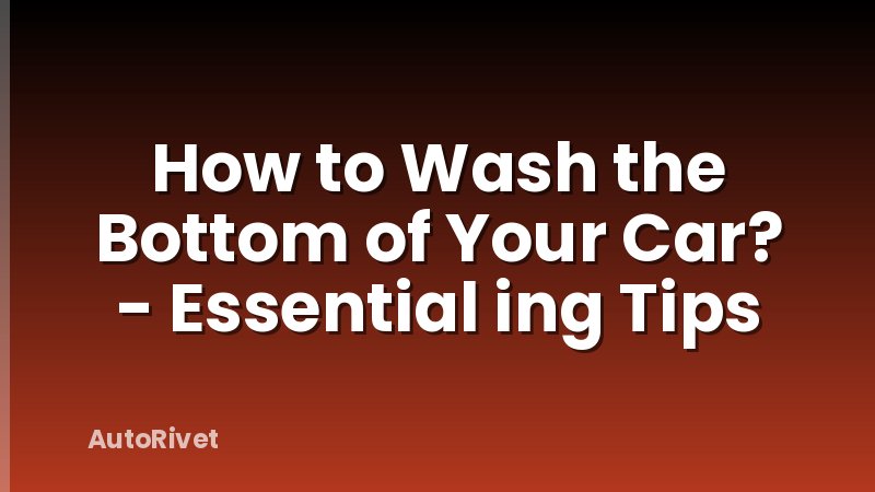 How to Wash the Bottom of Your Car? - Essential ing Tips