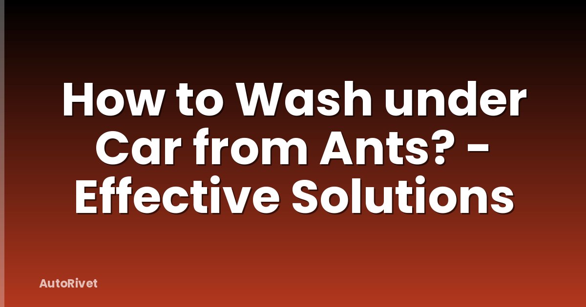 How to Wash under Car from Ants? - Effective Solutions