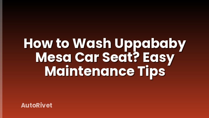 How to Wash Uppababy Mesa Car Seat? Easy Maintenance Tips