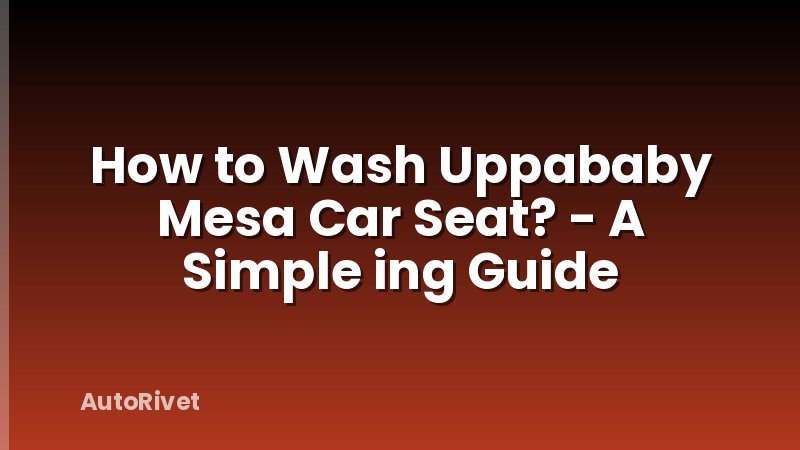 How to Wash Uppababy Mesa Car Seat? - A Simple ing Guide
