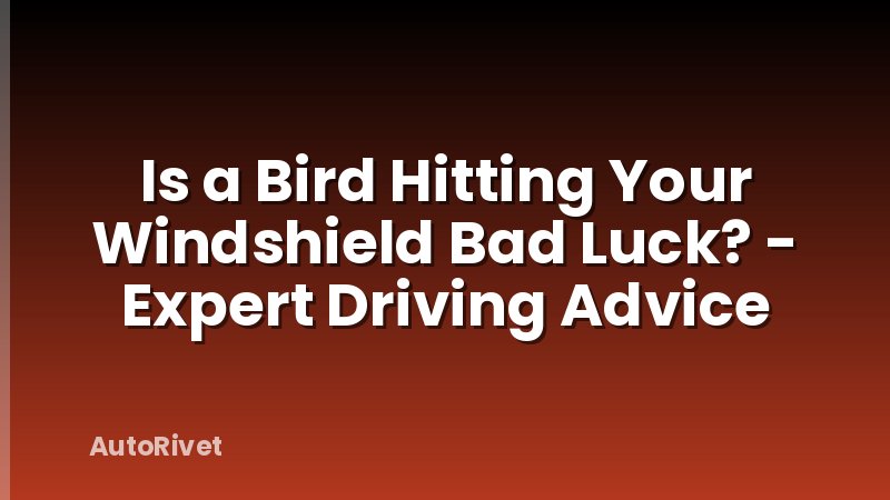 Is a Bird Hitting Your Windshield Bad Luck? - Expert Driving Advice