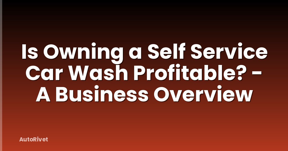Is Owning a Self Service Car Wash Profitable? - A Business Overview