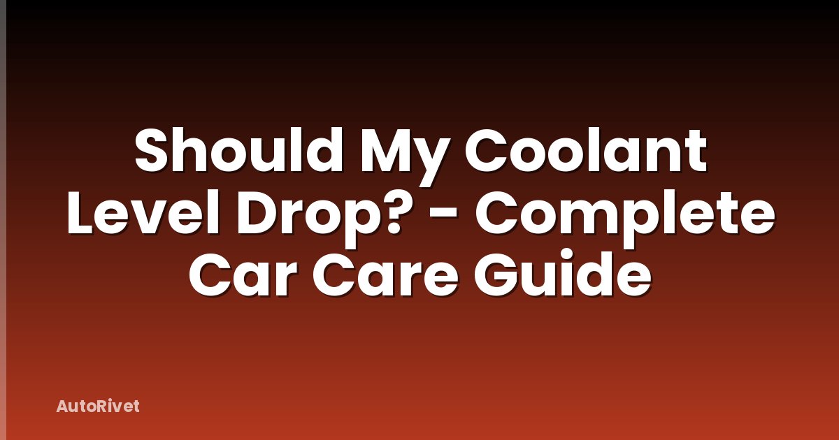 Should My Coolant Level Drop? - Complete Car Care Guide
