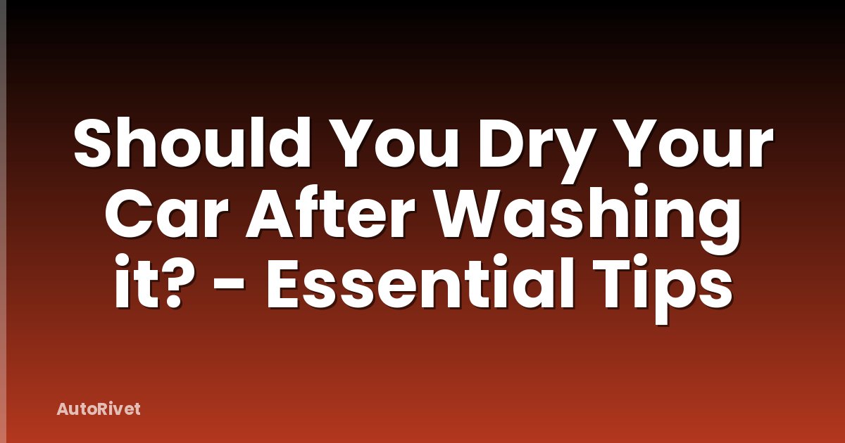 Should You Dry Your Car After Washing it? - Essential Tips