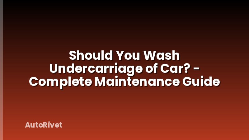 Should You Wash Undercarriage of Car? - Complete Maintenance Guide