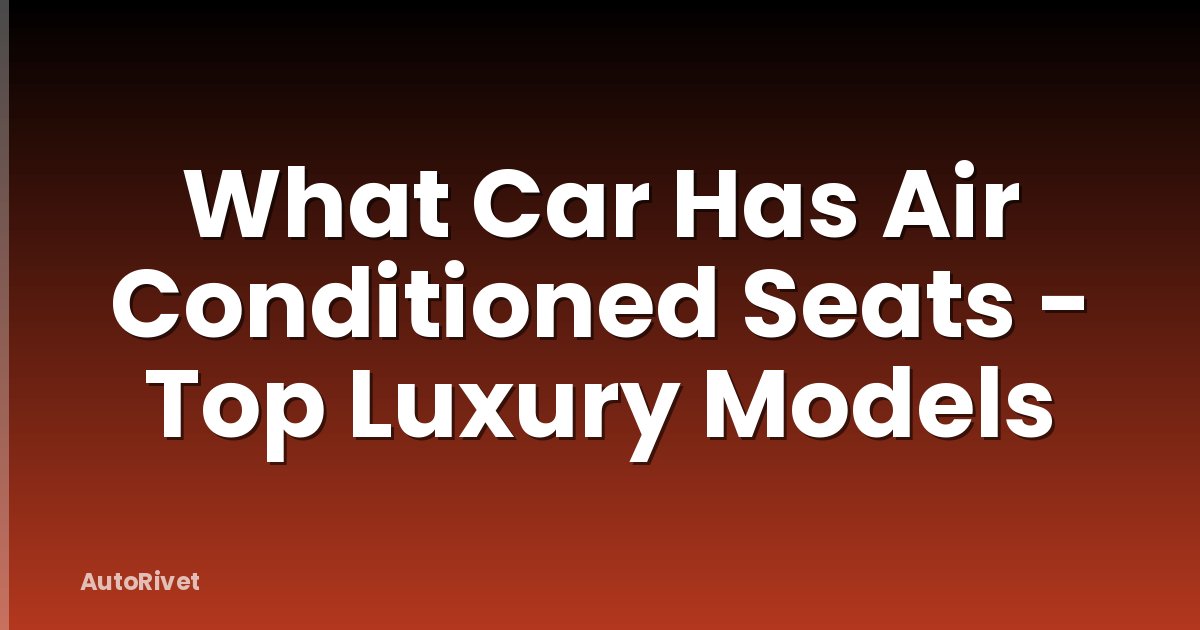 What Car Has Air Conditioned Seats - Top Luxury Models