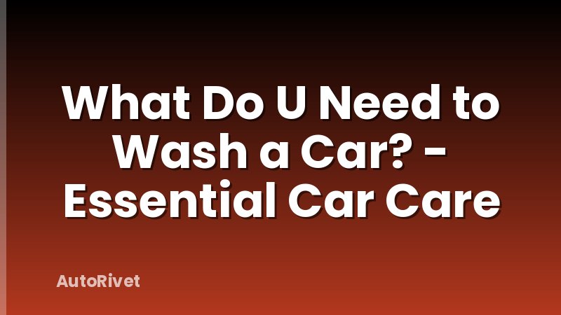 What Do U Need to Wash a Car? - Essential Car Care