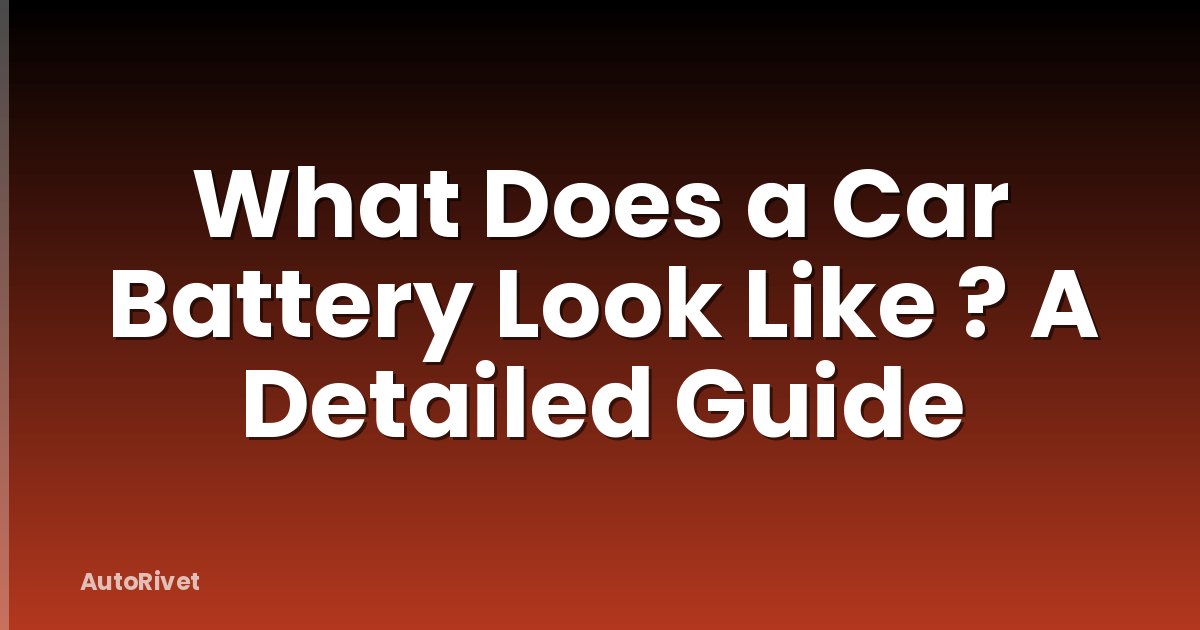 What Does a Car Battery Look Like ? A Detailed Guide
