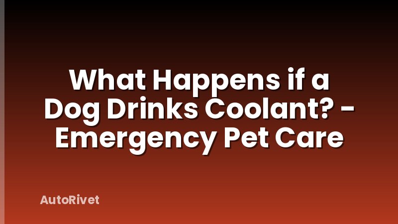 What Happens if a Dog Drinks Coolant? - Emergency Pet Care