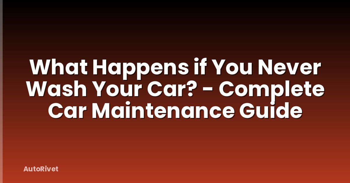 What Happens if You Never Wash Your Car? - Complete Car Maintenance Guide