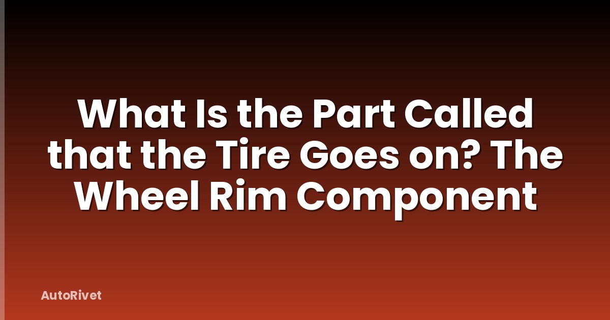 What Is the Part Called that the Tire Goes on? The Wheel Rim Component