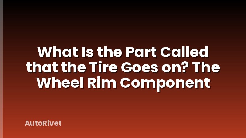 What Is the Part Called that the Tire Goes on? The Wheel Rim Component