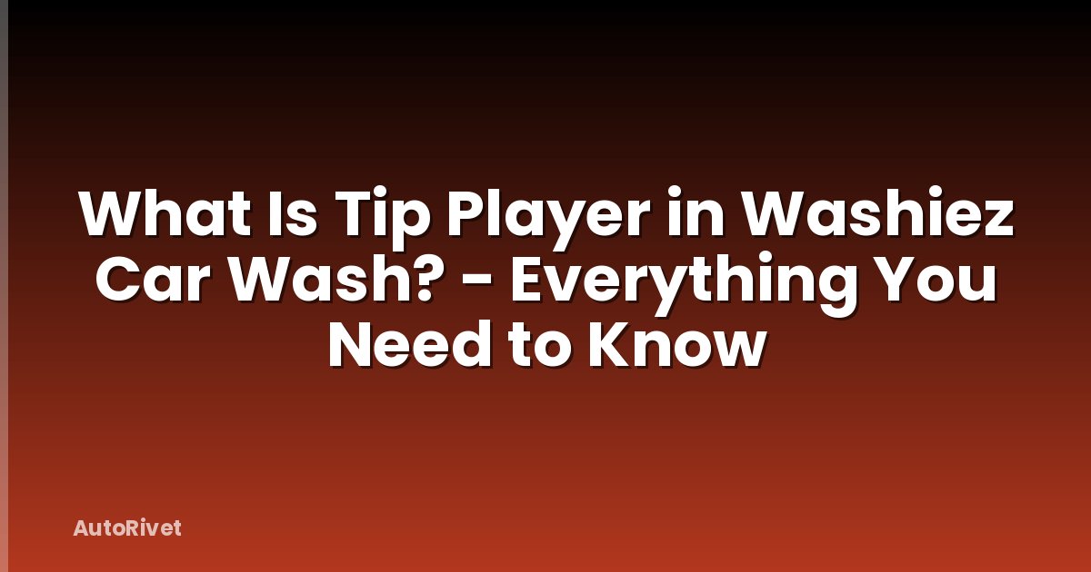 What Is Tip Player in Washiez Car Wash? - Everything You Need to Know