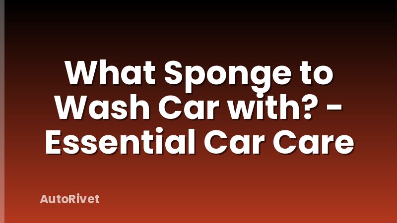 What Sponge to Wash Car with? - Essential Car Care