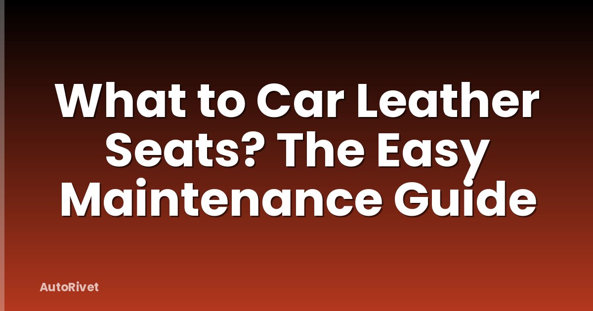 What to Car Leather Seats? The Easy Maintenance Guide