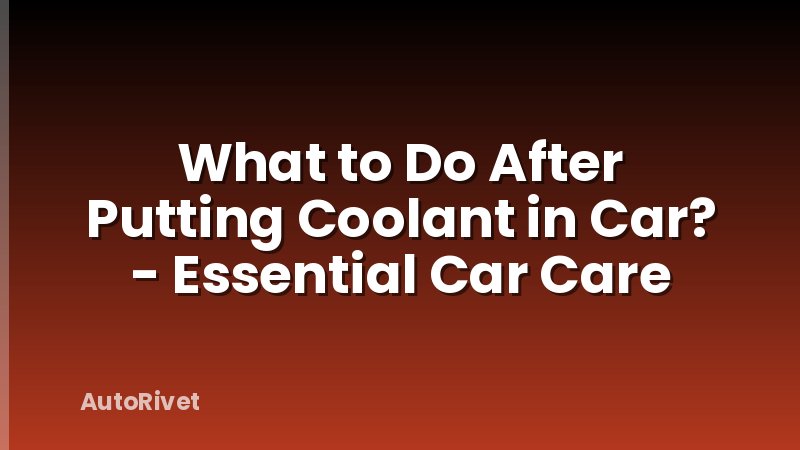 What to Do After Putting Coolant in Car? - Essential Car Care