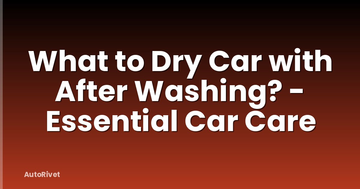 What to Dry Car with After Washing? - Essential Car Care