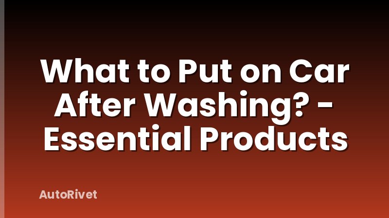 What to Put on Car After Washing? - Essential Products
