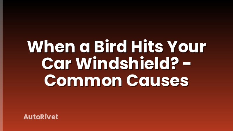 When a Bird Hits Your Car Windshield? - Common Causes